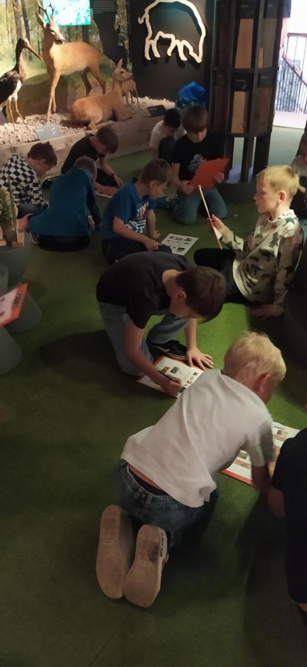 Dnes je na programu les  2.A