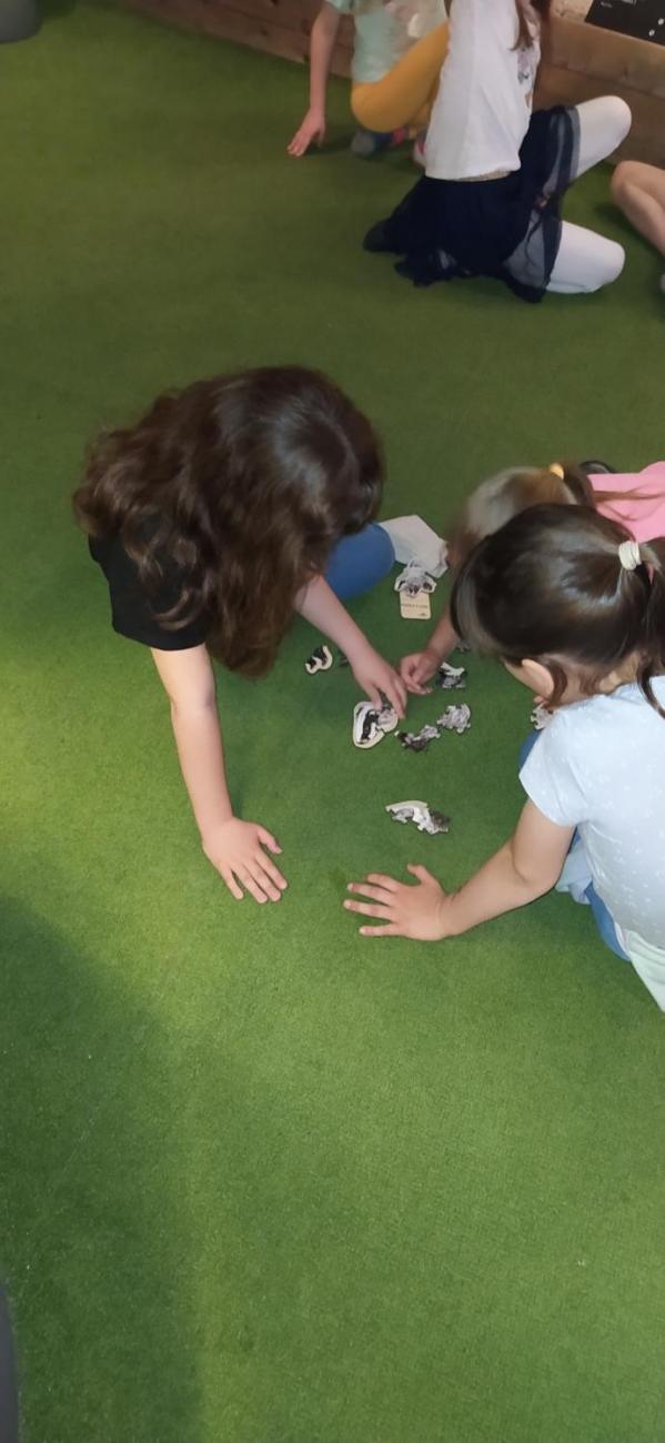 Dnes je na programu les  2.A