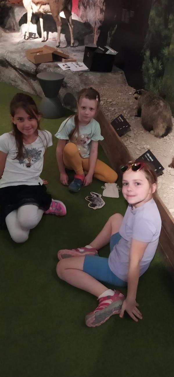 Dnes je na programu les  2.A