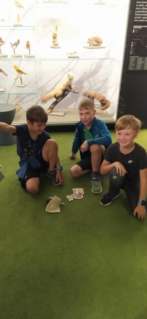 Dnes je na programu les  2.A