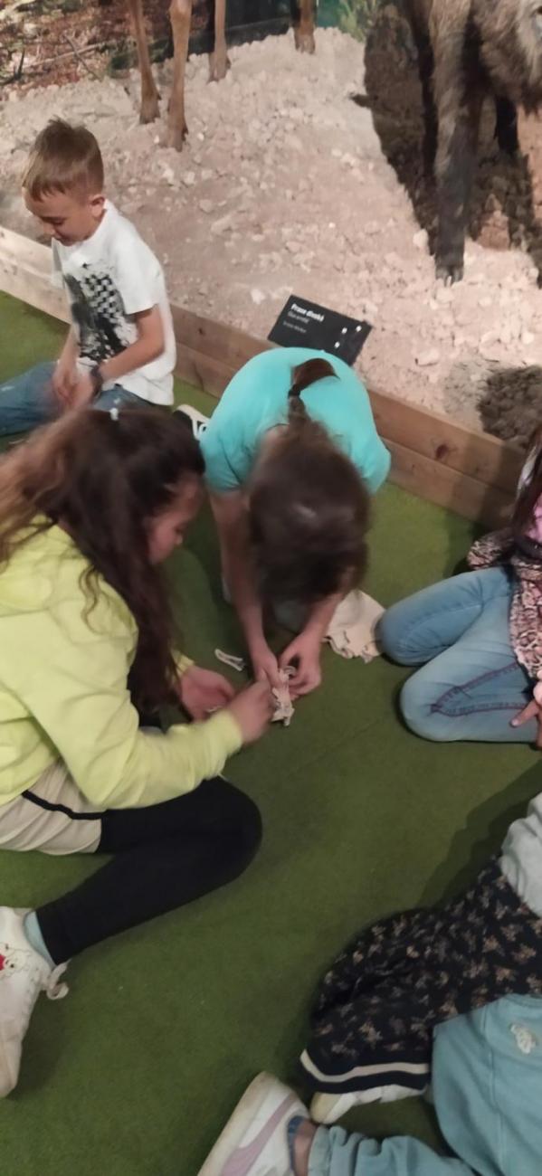 Dnes je na programu les  2.A