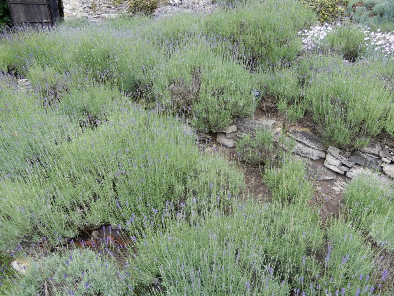 Školní výlet žáků 4. ročníku