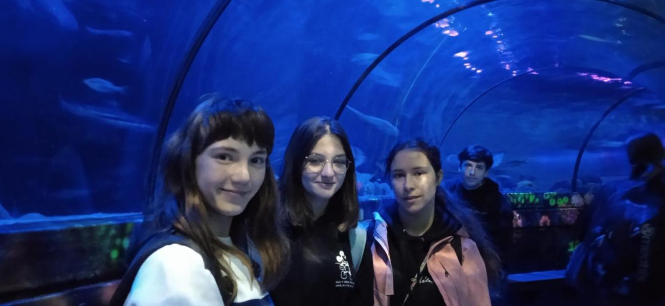 Studijně poznávací pobyt v Anglii