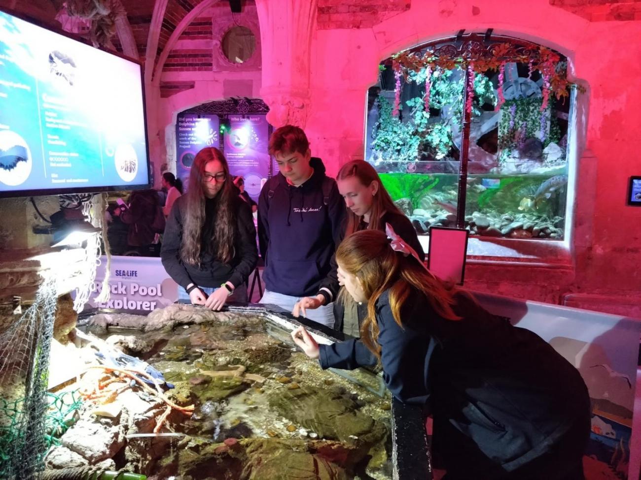 Studijně poznávací pobyt v Anglii