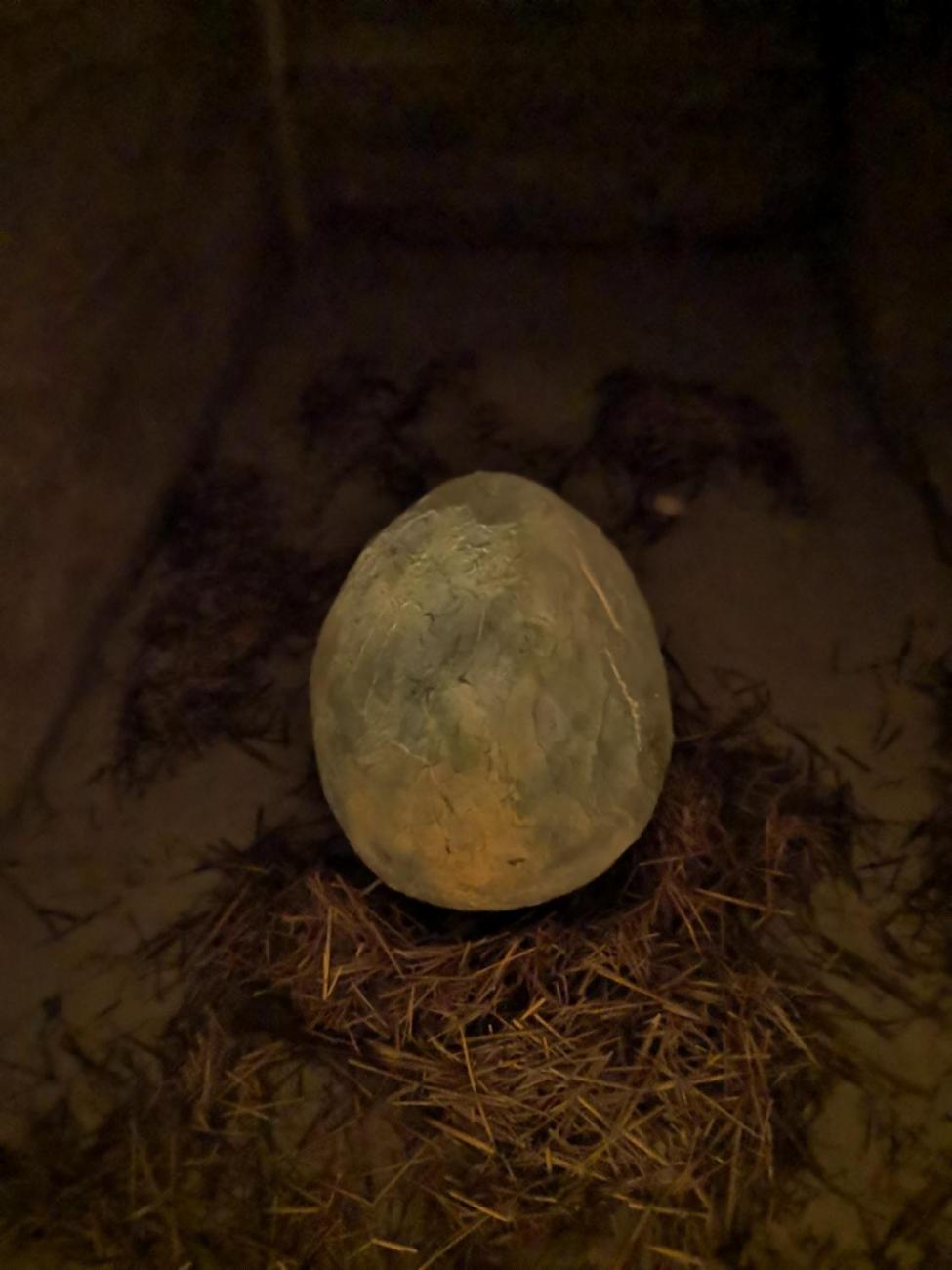 Výlet do Telče za dračím vejcem  1.A