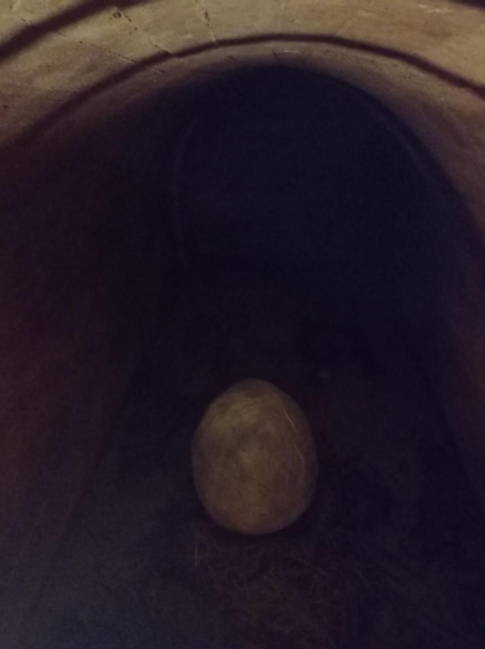 Výlet do Telče za dračím vejcem  1.A