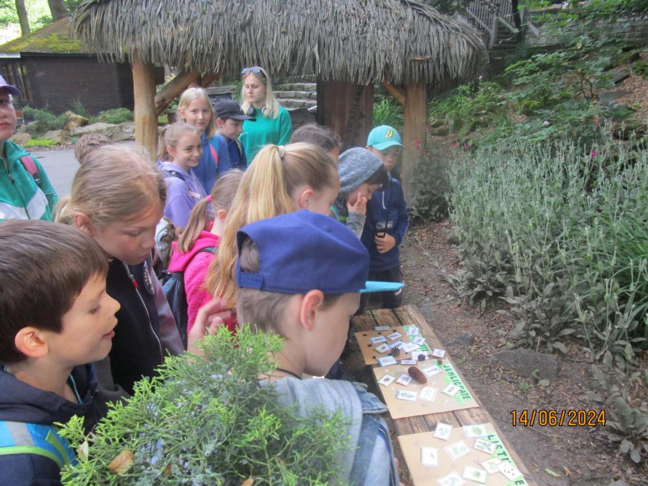 ZOO - Les žije  4. ročník