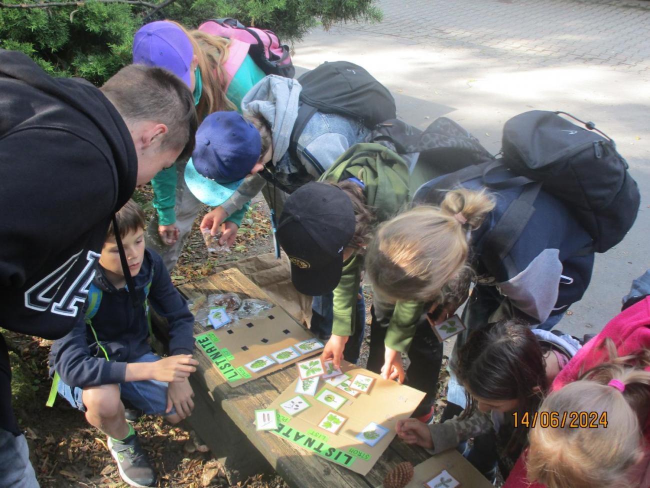 ZOO - Les žije  4. ročník