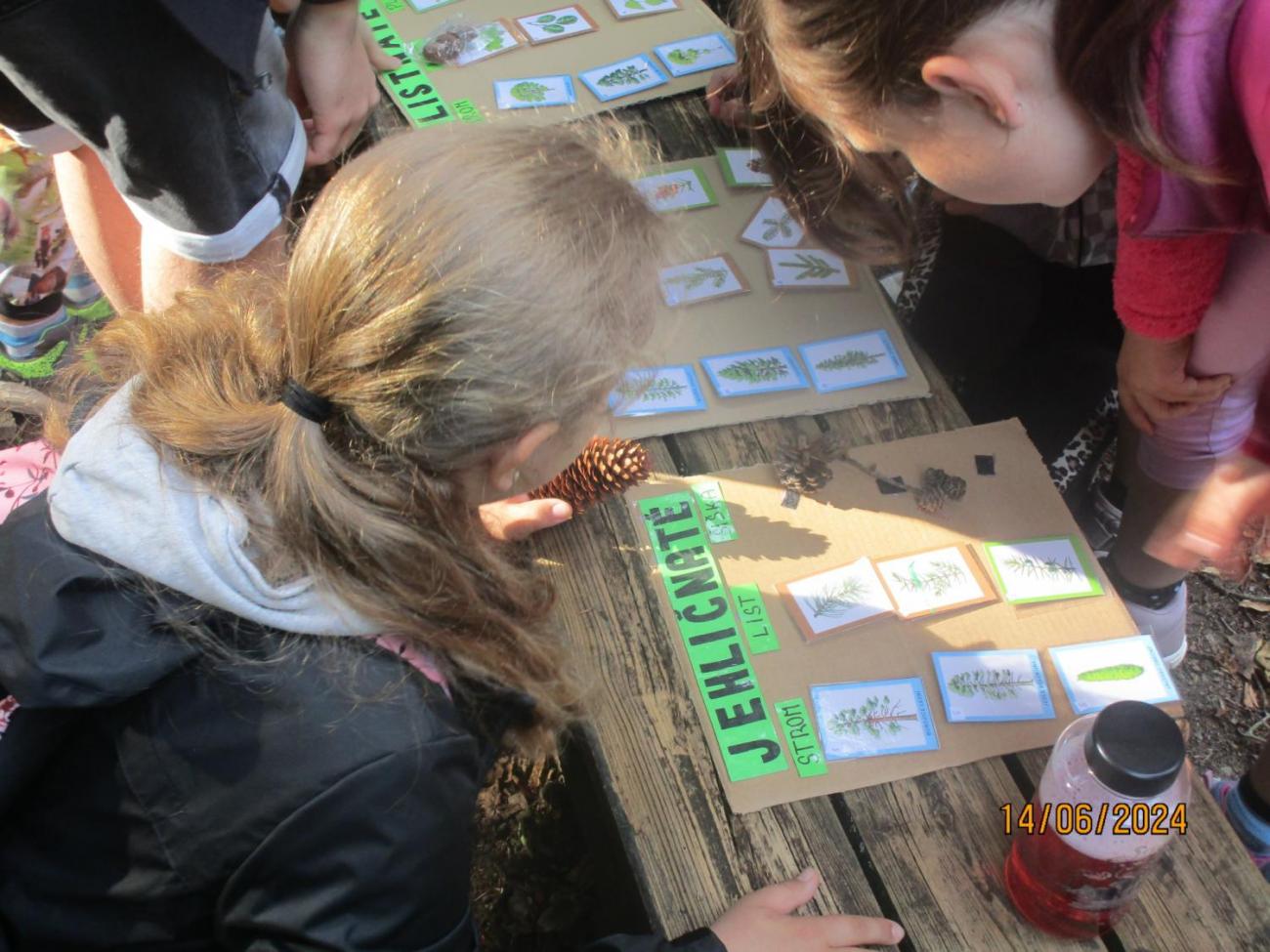 ZOO - Les žije  4. ročník