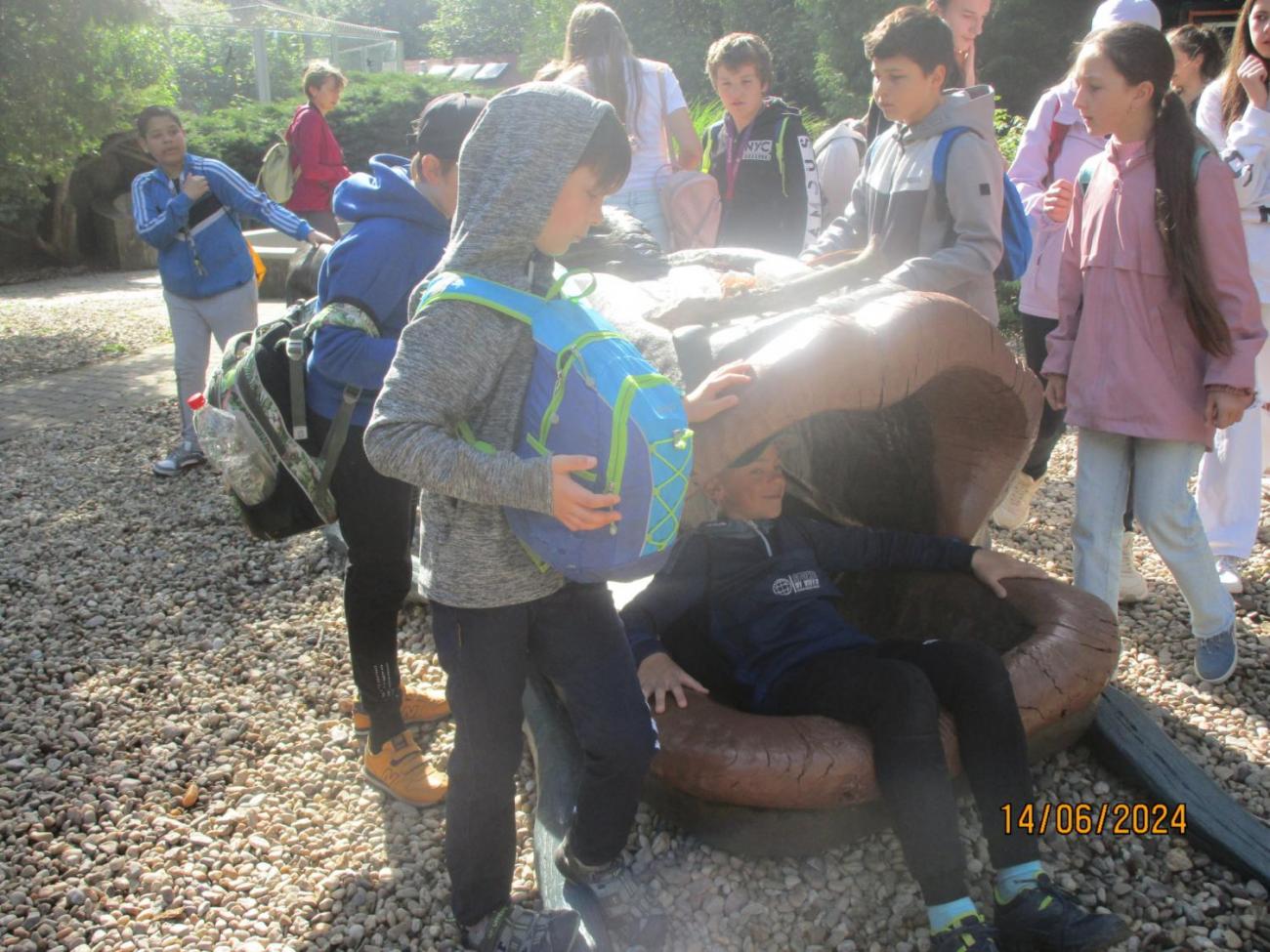 ZOO - Les žije  4. ročník