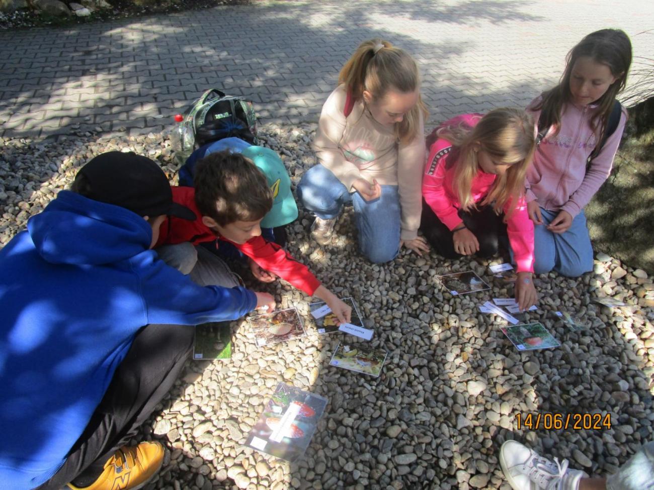 ZOO - Les žije  4. ročník