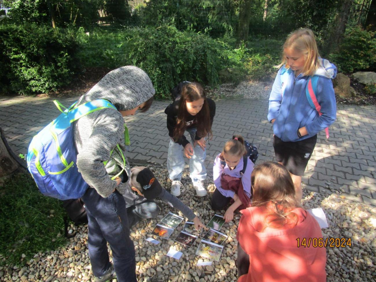 ZOO - Les žije  4. ročník