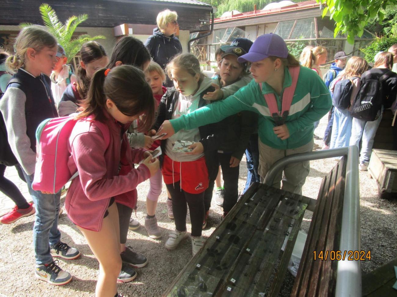 ZOO - Les žije  4. ročník