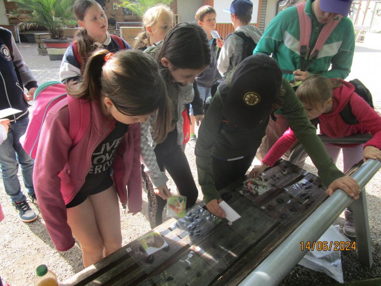 ZOO - Les žije  4. ročník