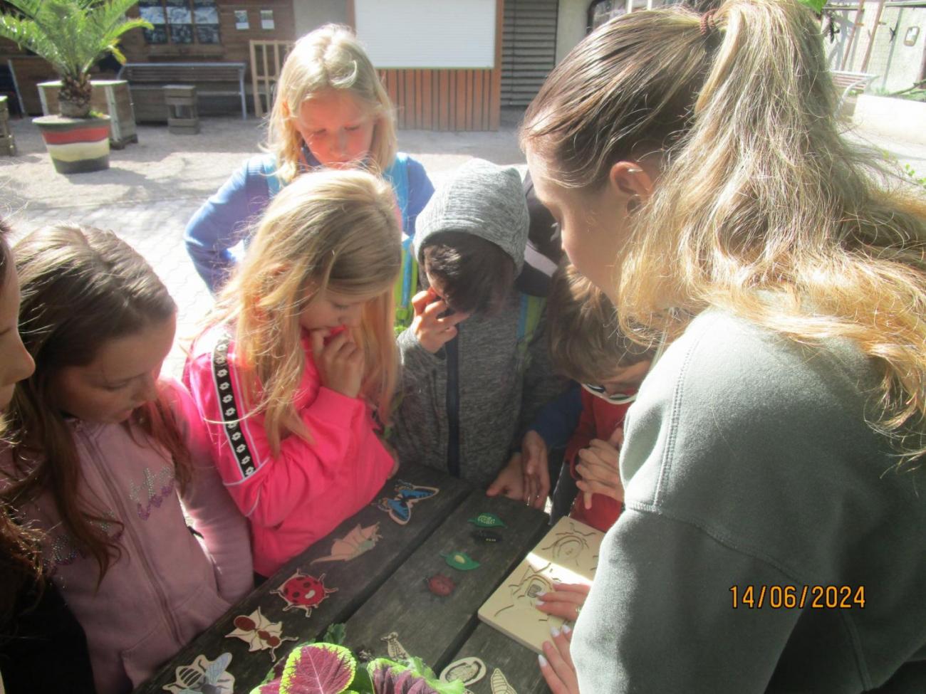 ZOO - Les žije  4. ročník