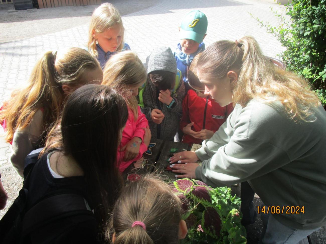 ZOO - Les žije  4. ročník