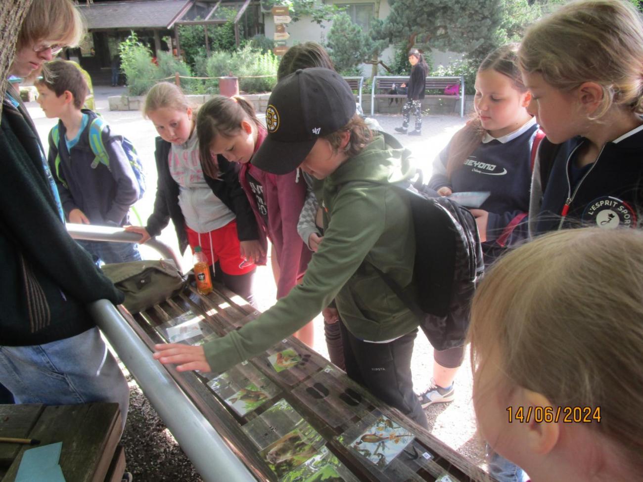 ZOO - Les žije  4. ročník