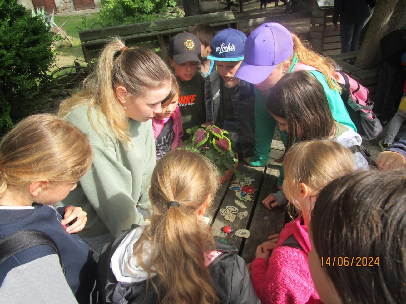 ZOO - Les žije  4. ročník