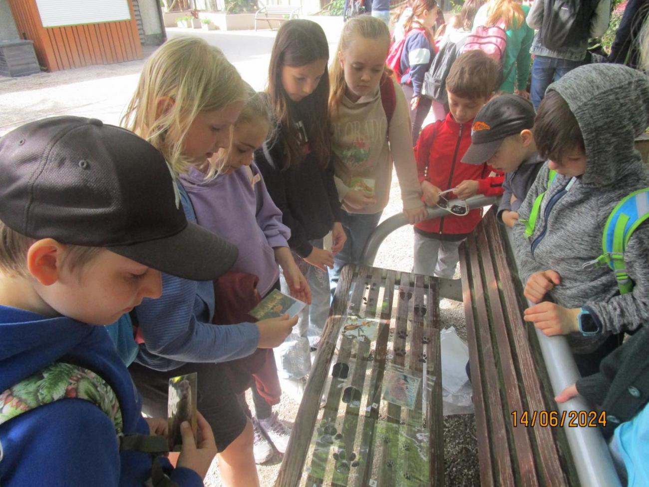 ZOO - Les žije  4. ročník