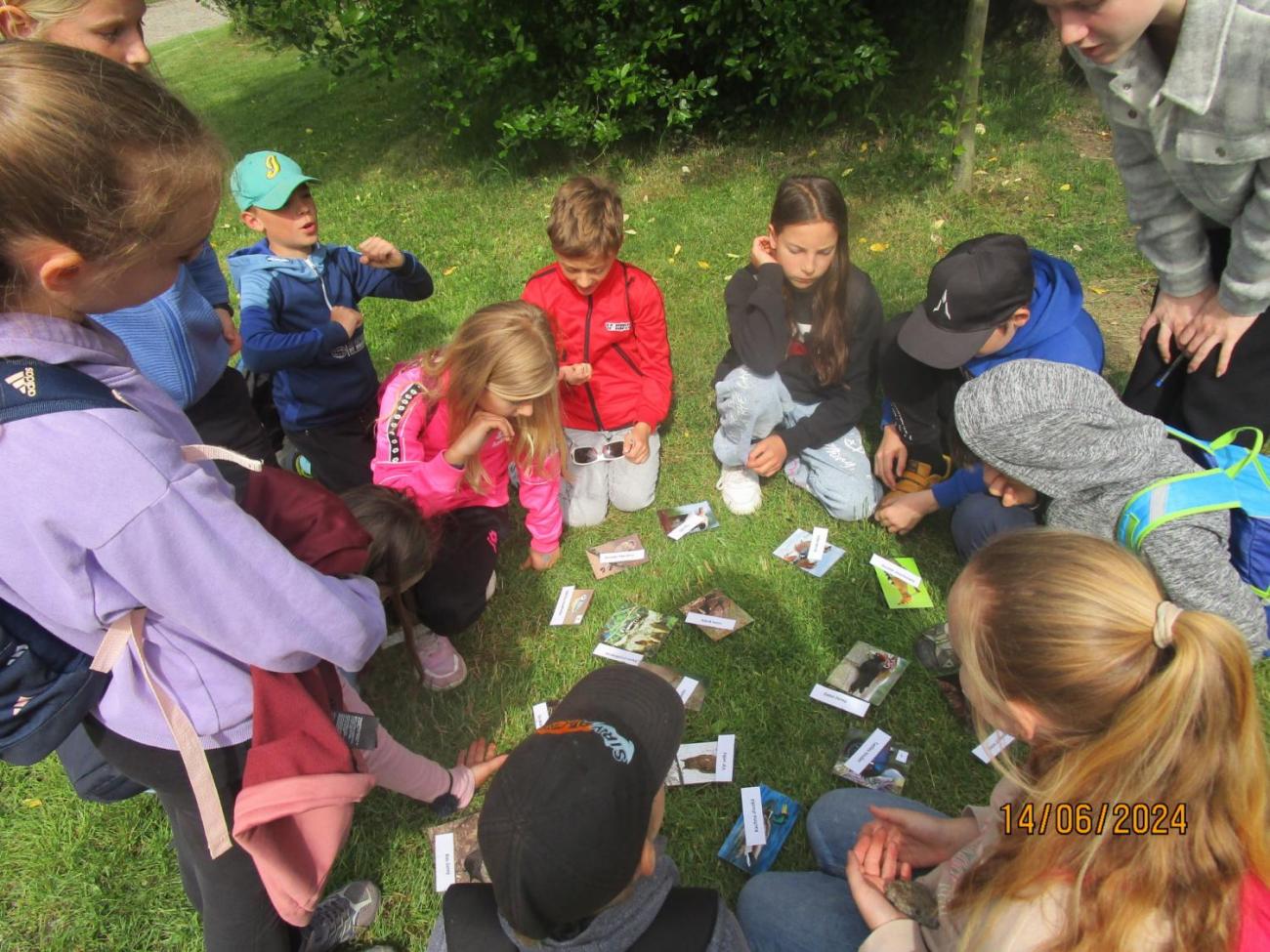 ZOO - Les žije  4. ročník