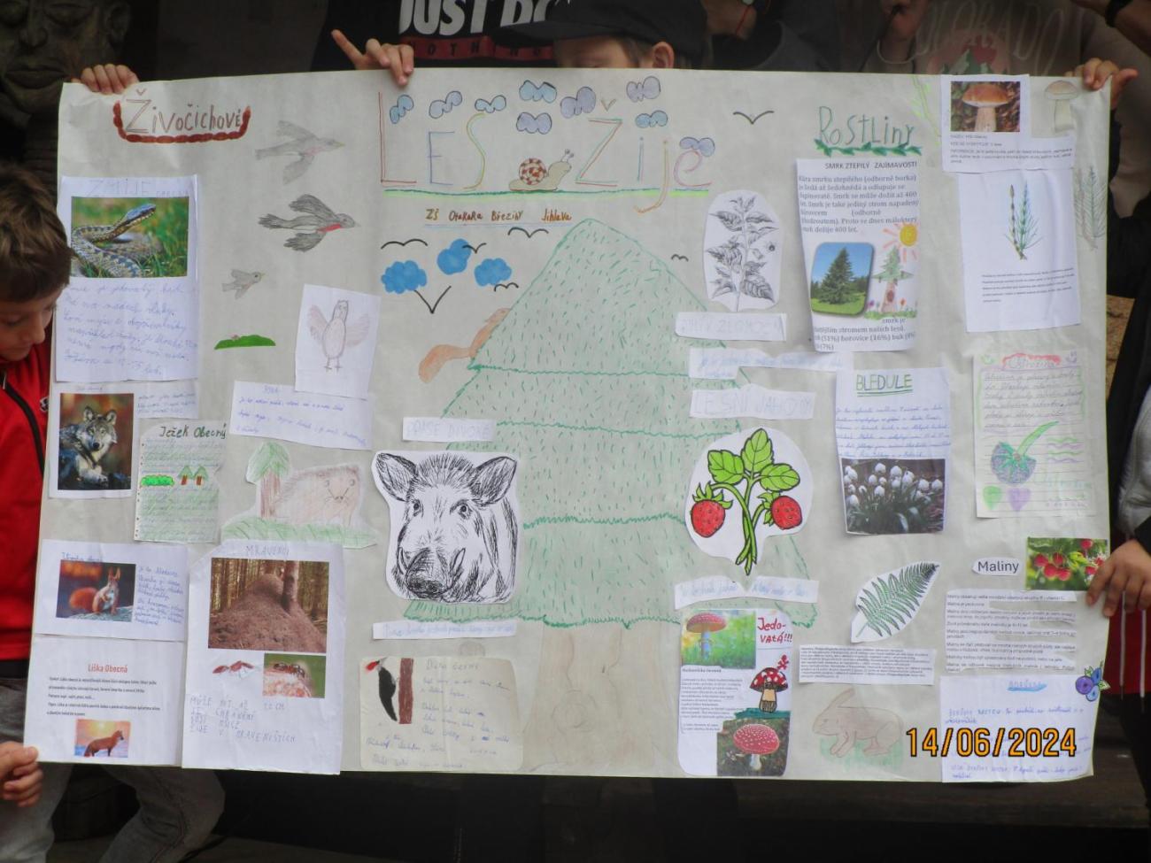 ZOO - Les žije  4. ročník