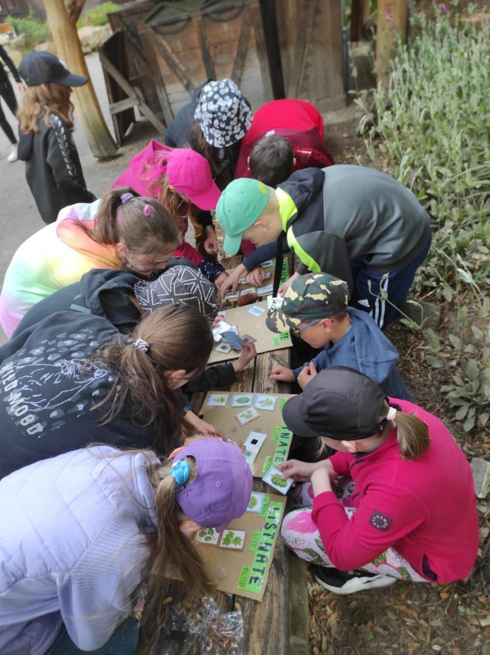 ZOO - Les žije  4. ročník