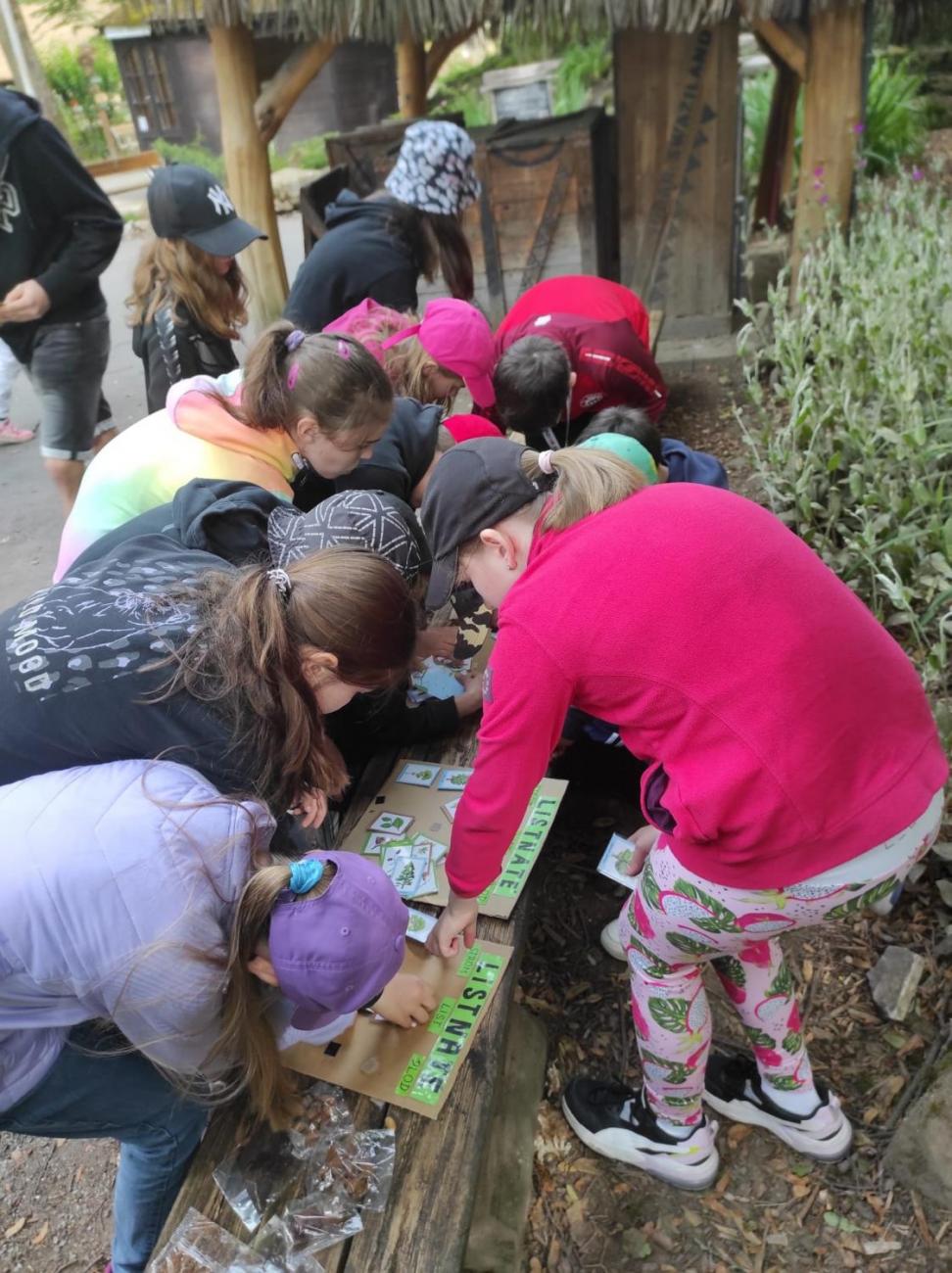 ZOO - Les žije  4. ročník