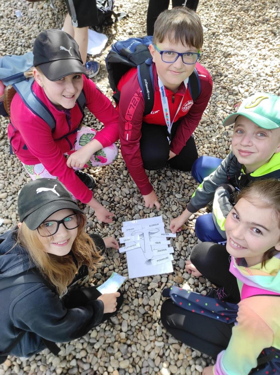 ZOO - Les žije  4. ročník