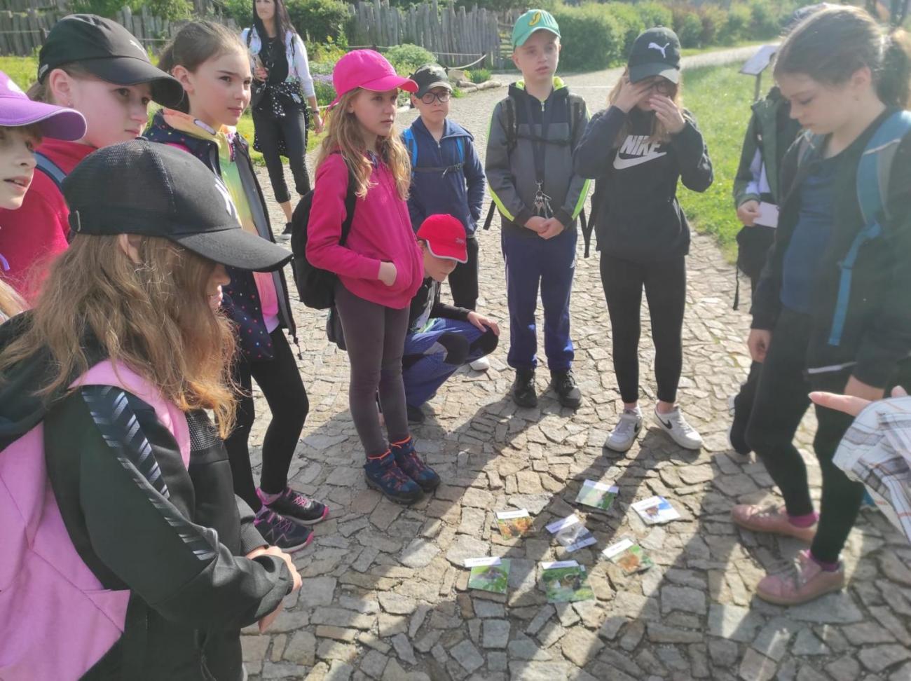 ZOO - Les žije  4. ročník