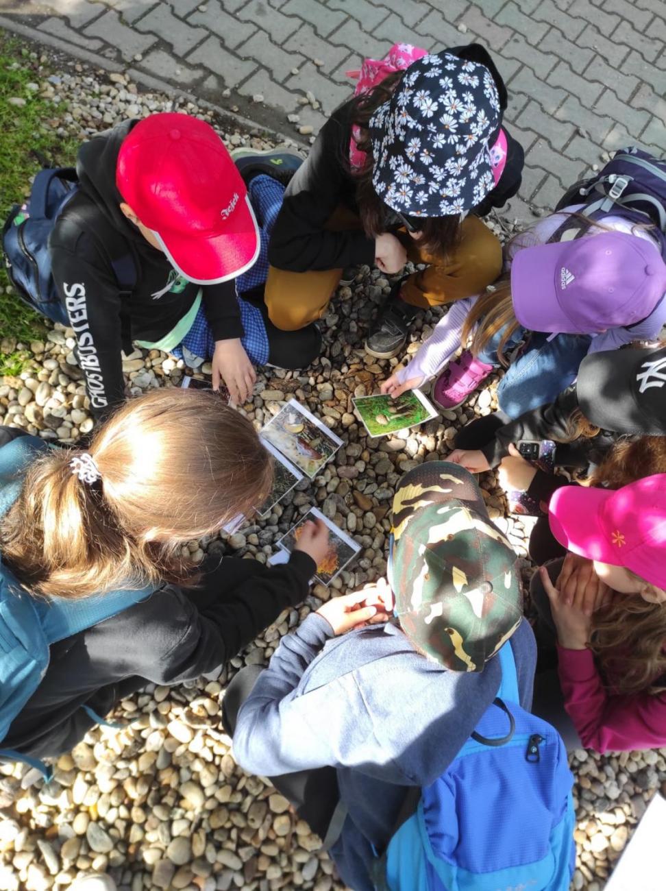 ZOO - Les žije  4. ročník