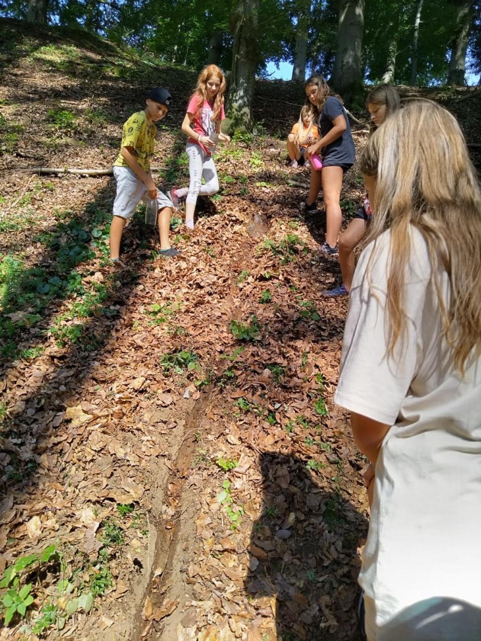 Poznávání a pravidla, 6. ročník