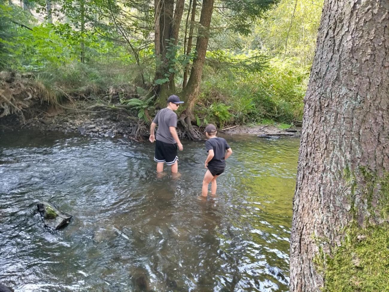 Poznávání a pravidla, 6. ročník