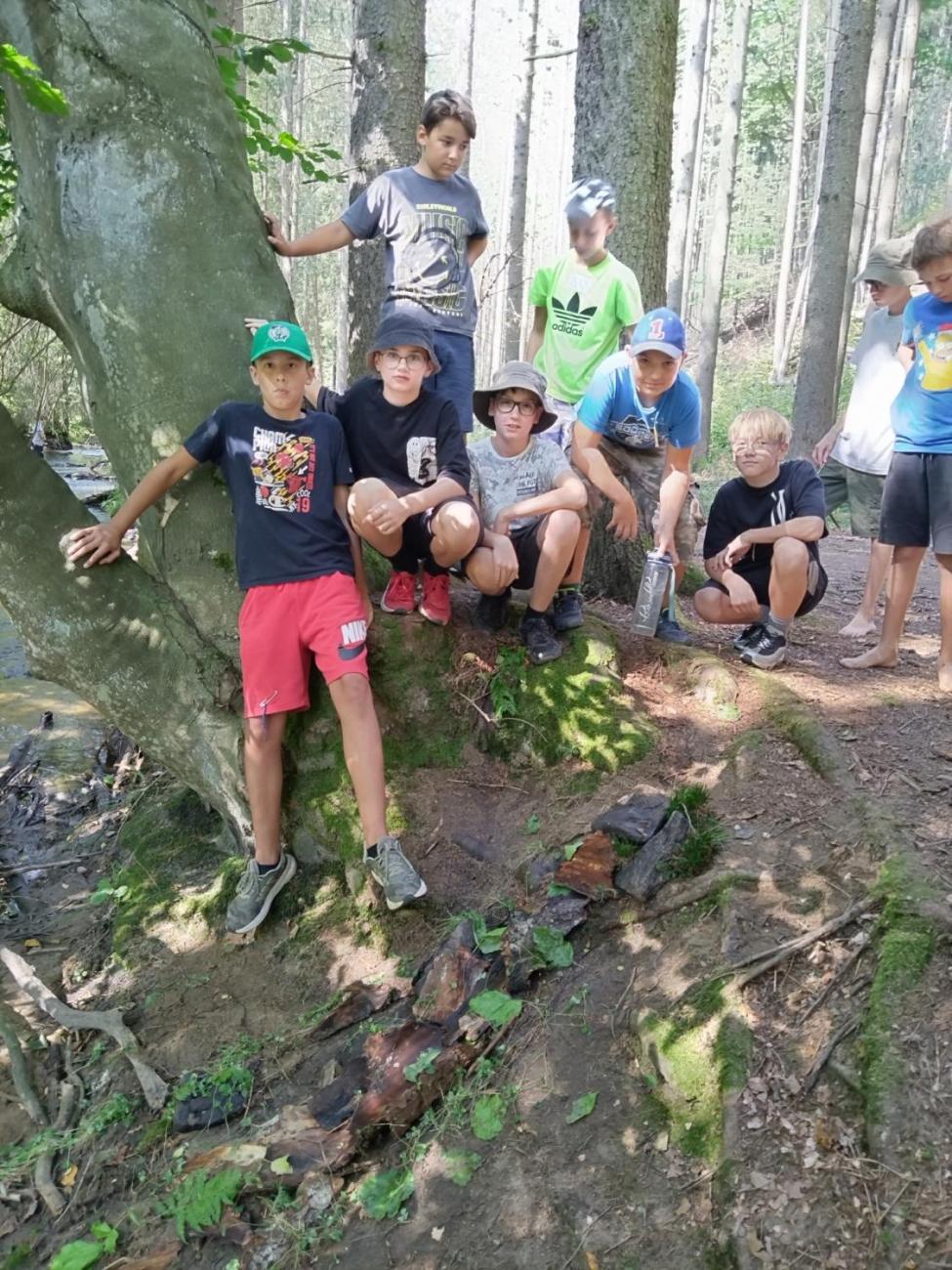 Poznávání a pravidla, 6. ročník