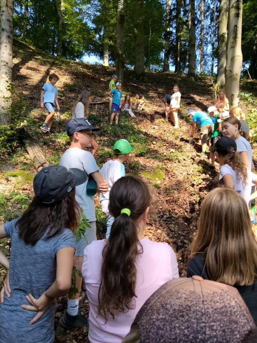 Poznávání a pravidla, 6. ročník