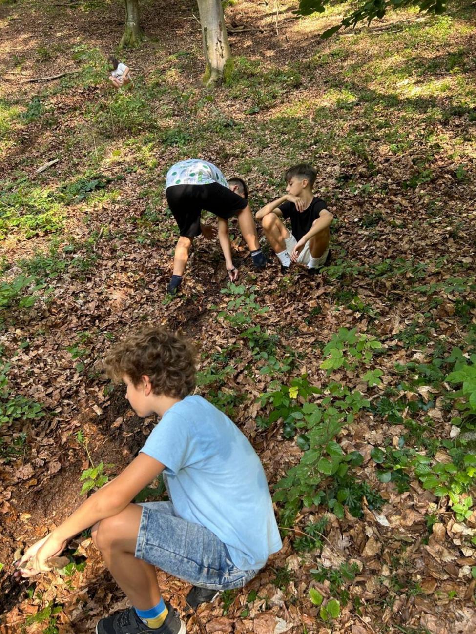 Poznávání a pravidla, 6. ročník