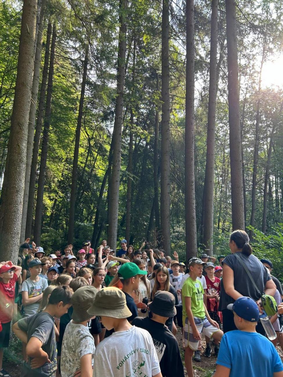 Poznávání a pravidla, 6. ročník