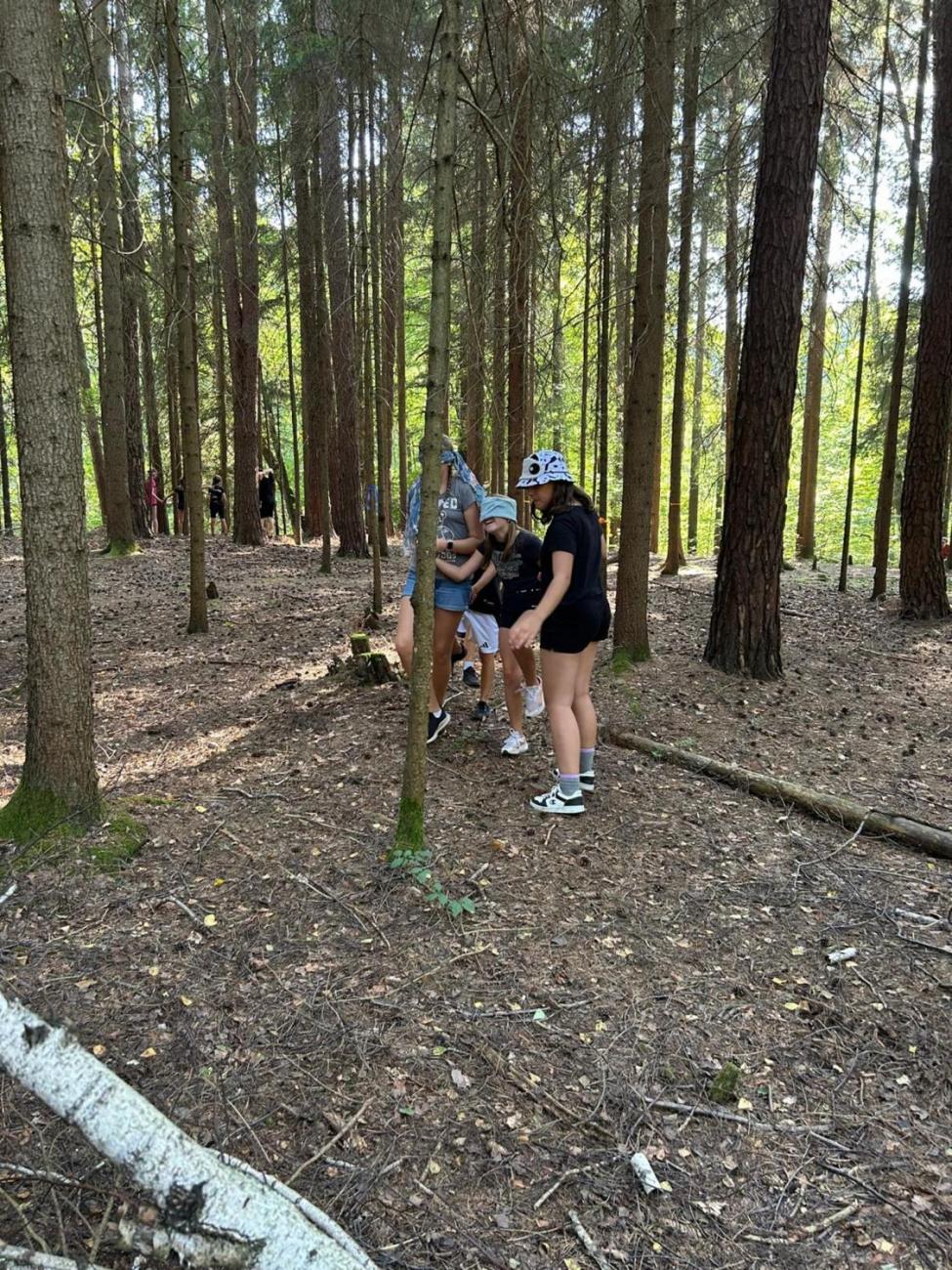 Poznávání a pravidla, 6. ročník