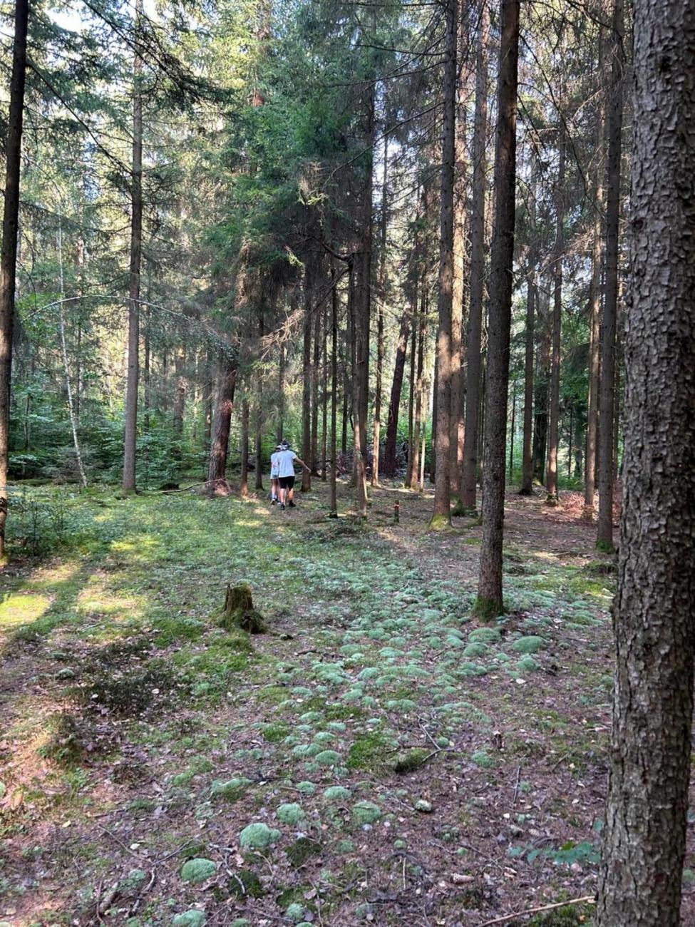 Poznávání a pravidla, 6. ročník