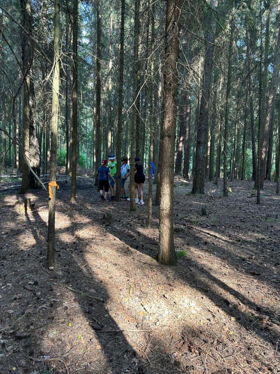 Poznávání a pravidla, 6. ročník