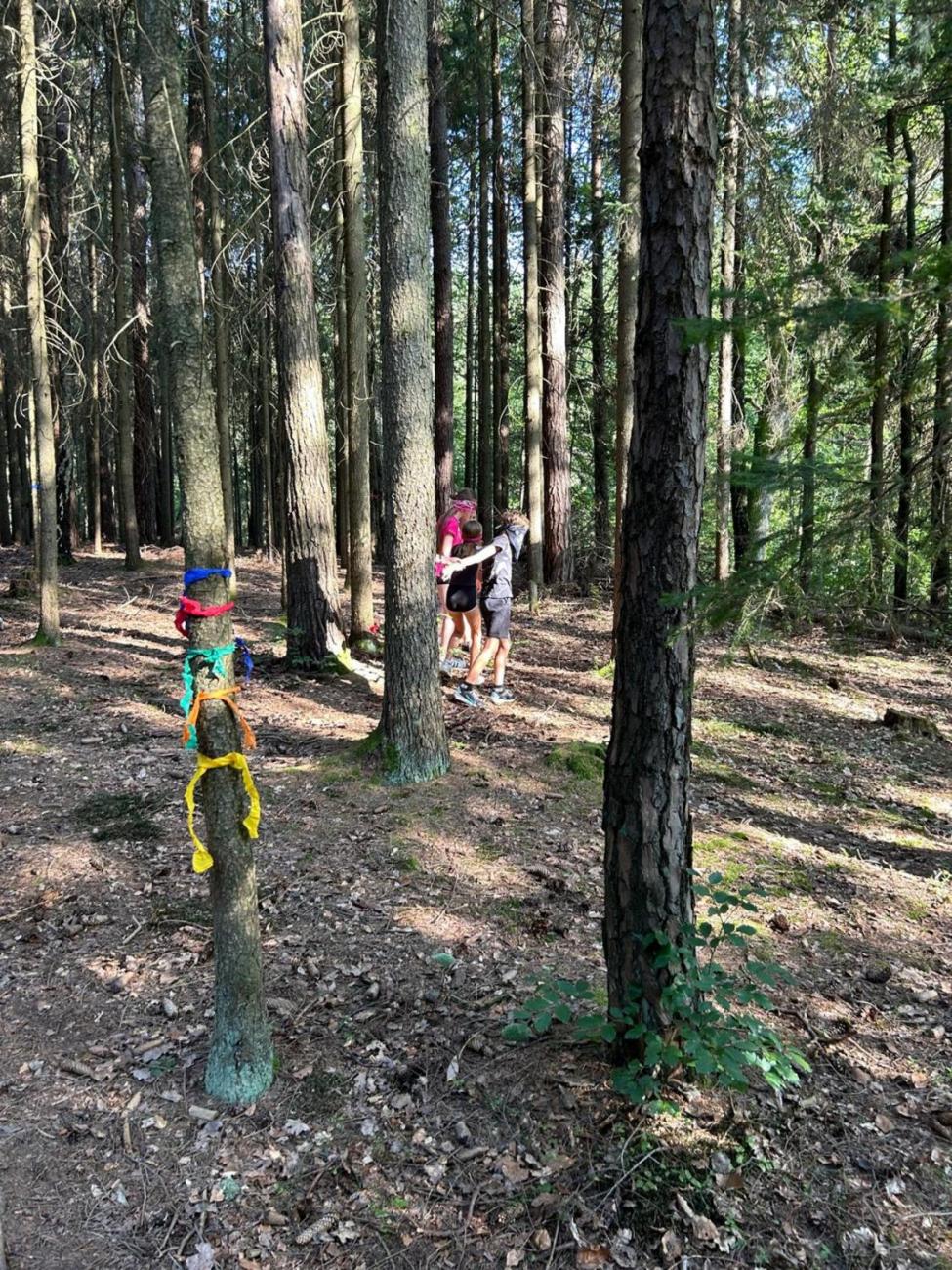 Poznávání a pravidla, 6. ročník