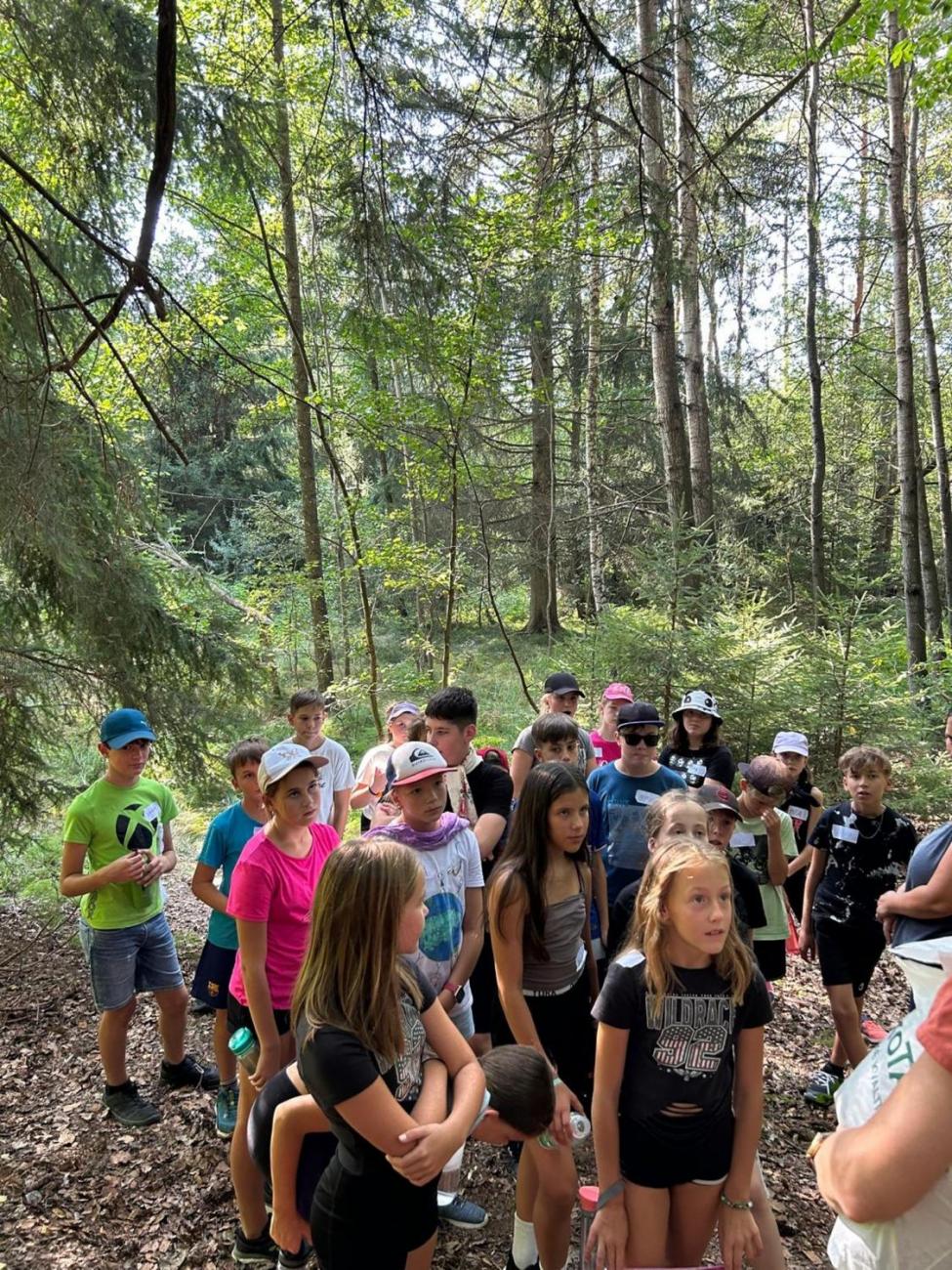 Poznávání a pravidla, 6. ročník