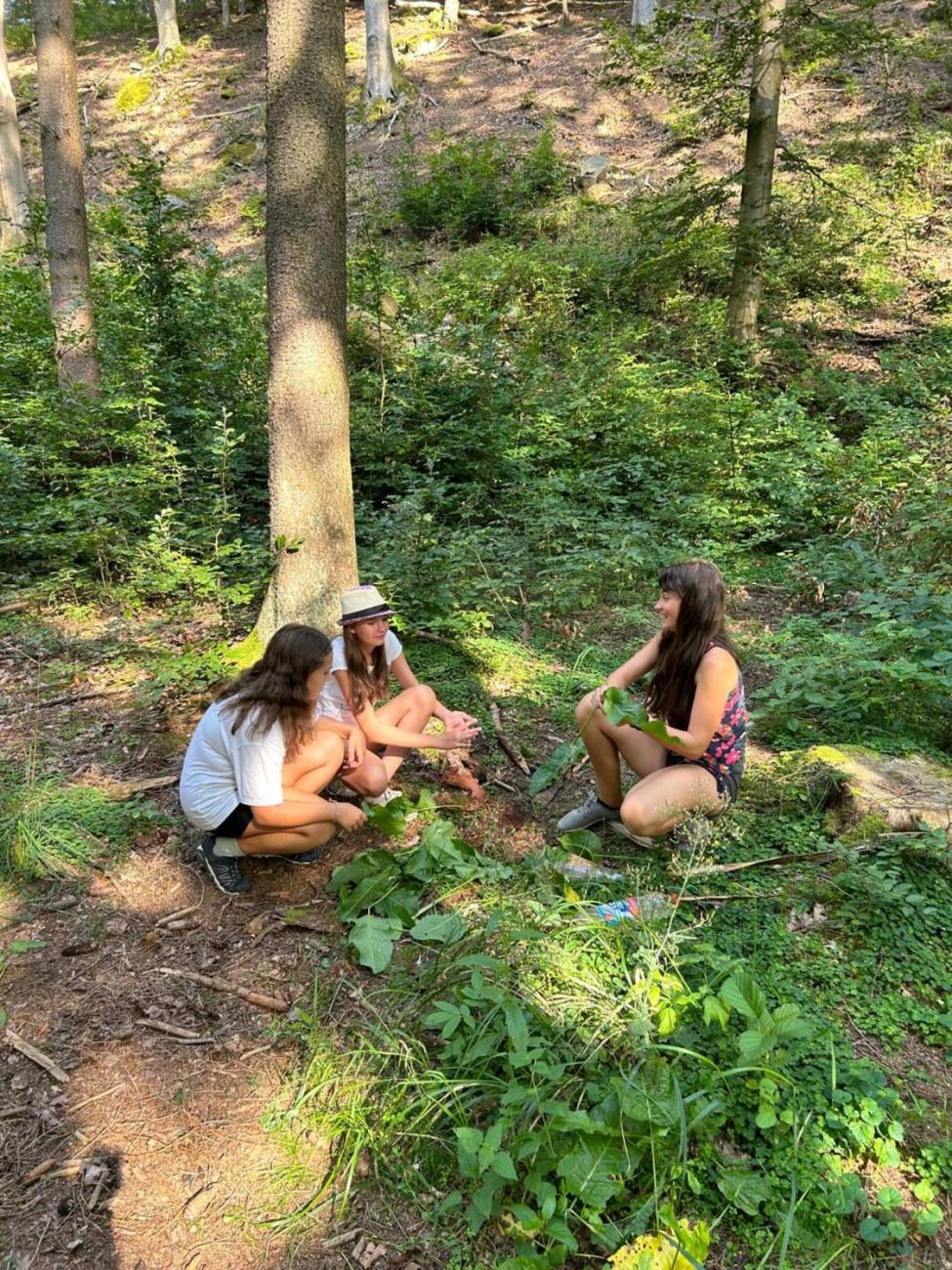 Poznávání a pravidla, 6. ročník