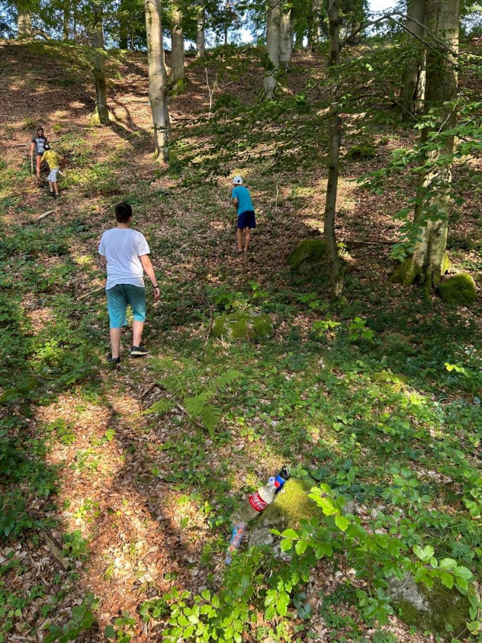 Poznávání a pravidla, 6. ročník