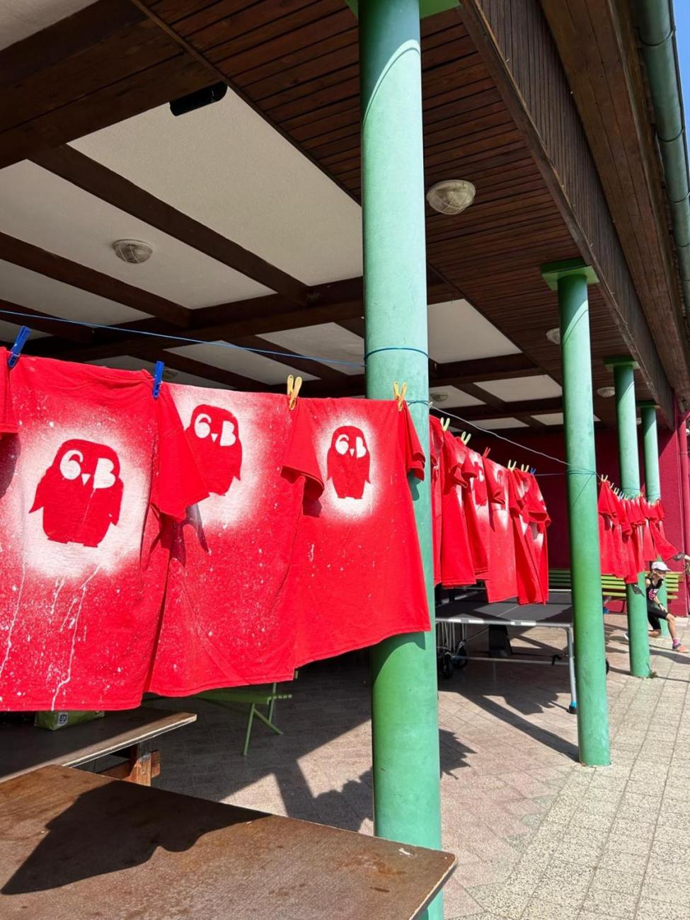 Poznávání a pravidla, 6. ročník