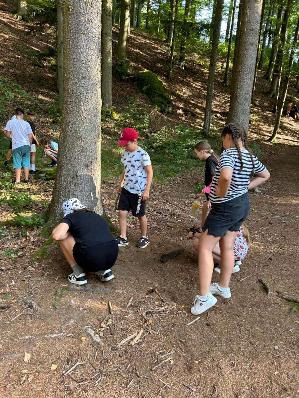 Poznávání a pravidla, 6. ročník