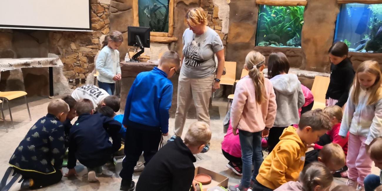 Výukový program ZOO - Mazlíčci  2.A