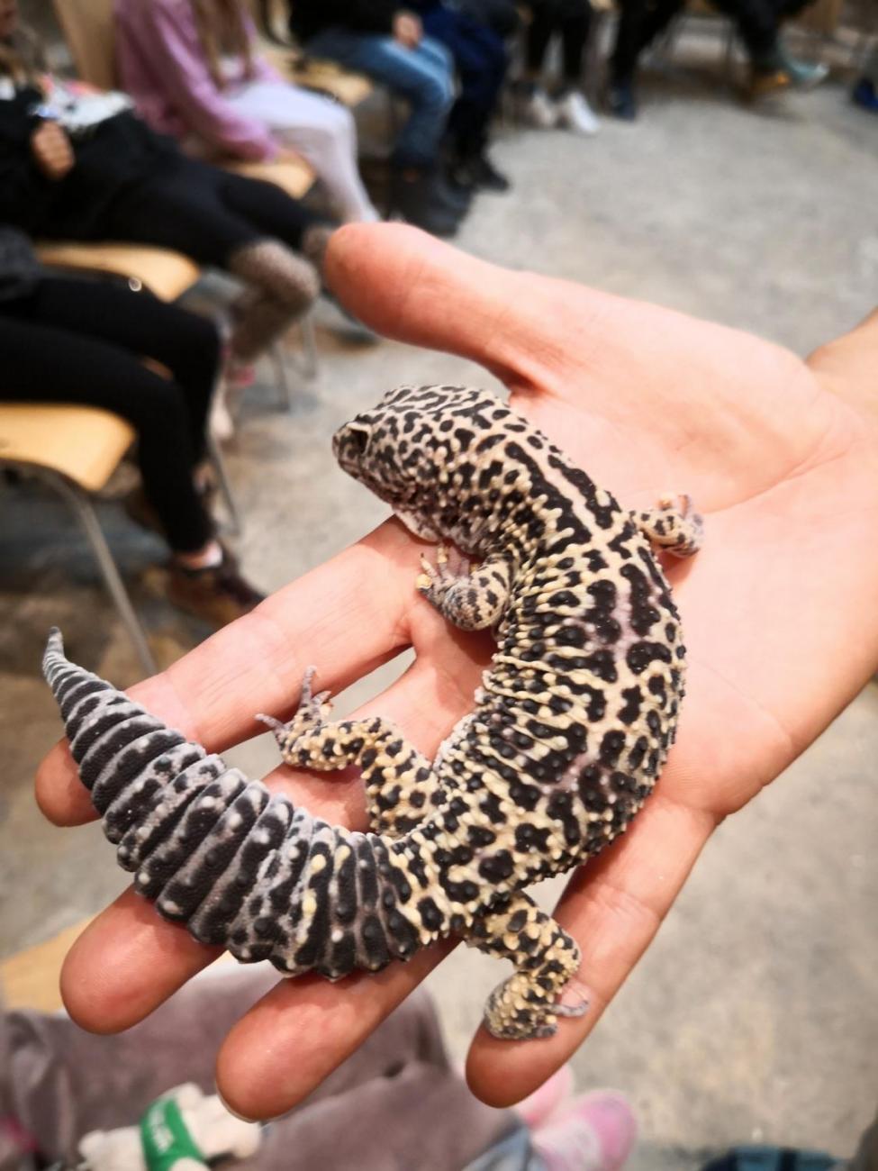 Výukový program ZOO - Mazlíčci  2.A