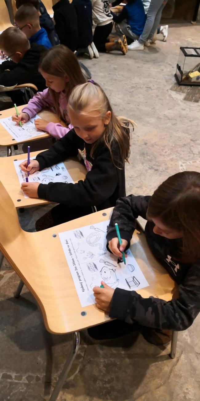 Výukový program ZOO - Mazlíčci  2.A