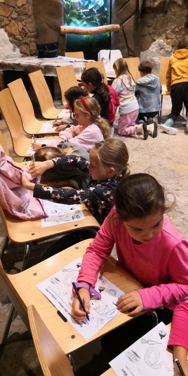 Výukový program ZOO - Mazlíčci  2.A