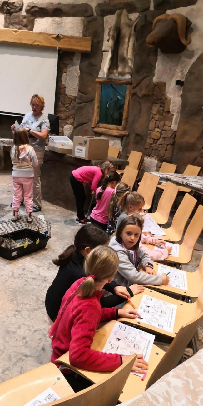 Výukový program ZOO - Mazlíčci  2.A